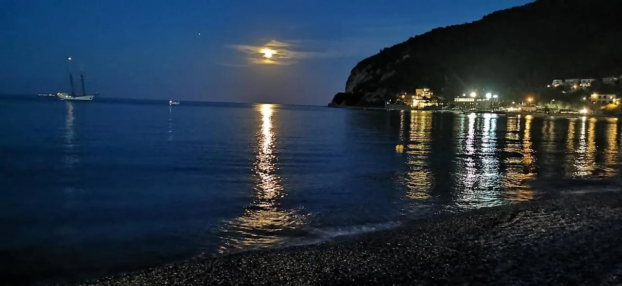 Nuovo Appartamento In Residenza Villa Fiorenza Noli 0*,  Italy